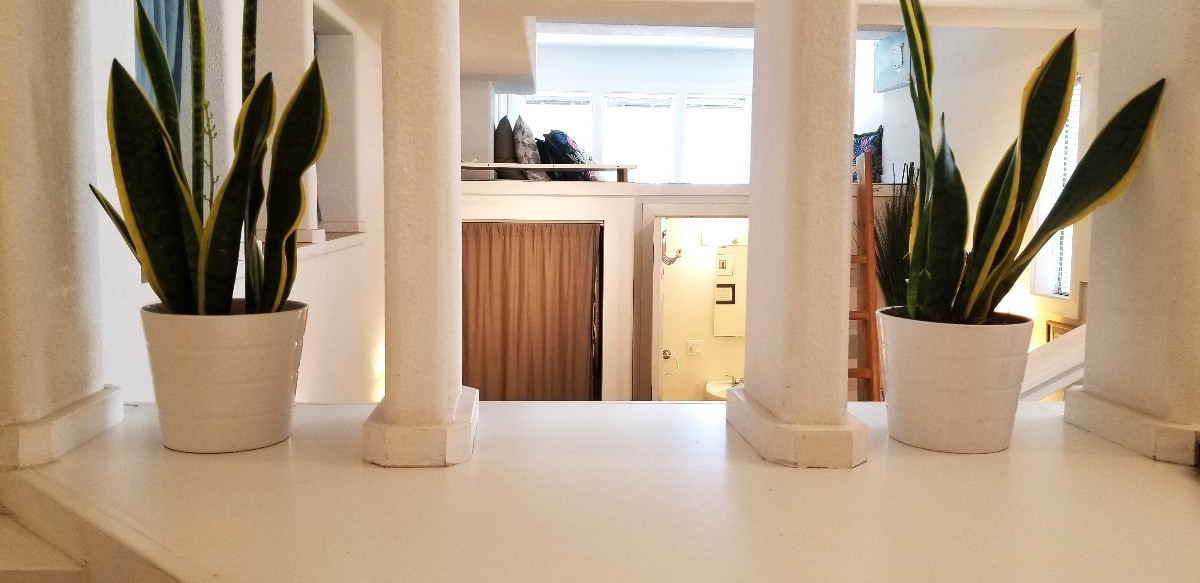Cozy Bernal Heights Studio -Top Location- - Photo 2