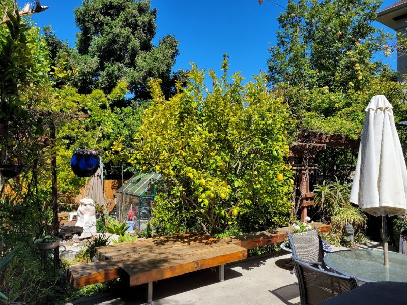 Beautiful Garden Apartment close to hospitals - Photo 5