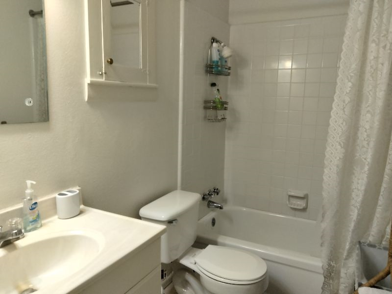 Historic Holle House, luxury furnished rentals - Photo 9