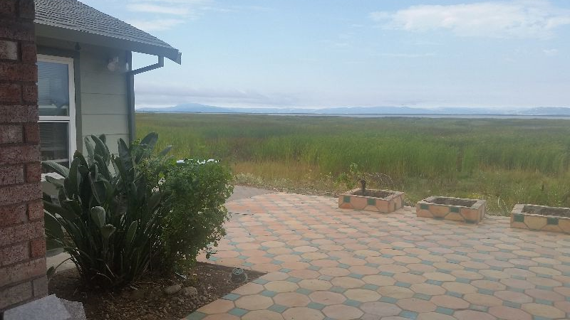 Peaceful Privacy all around - Photo 1