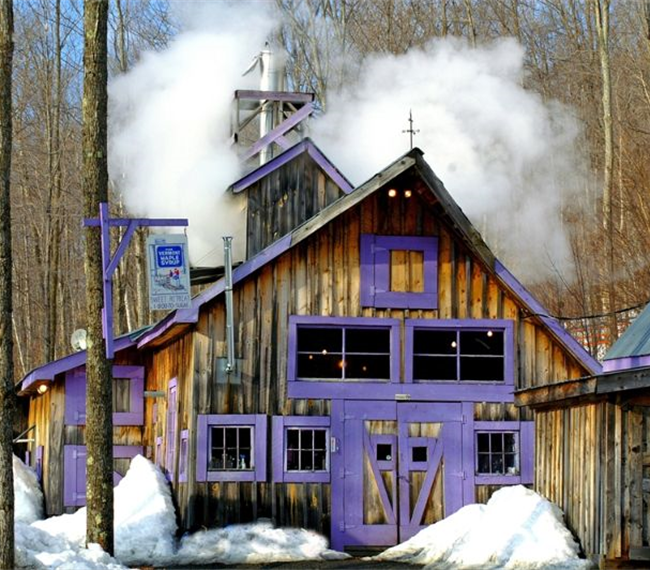 Sweet Retreat Guesthouse  Sugarworks - Photo 10