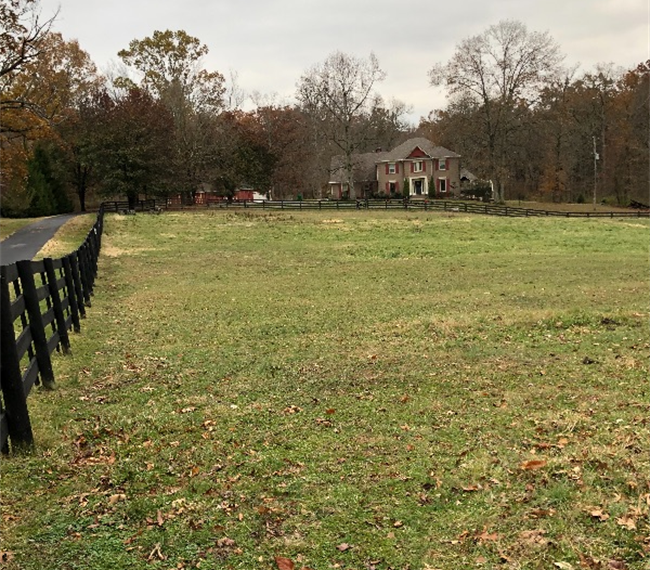 7 Acres Perfect for social distancing. Beautiful seclusion but still close to everything - Photo 10