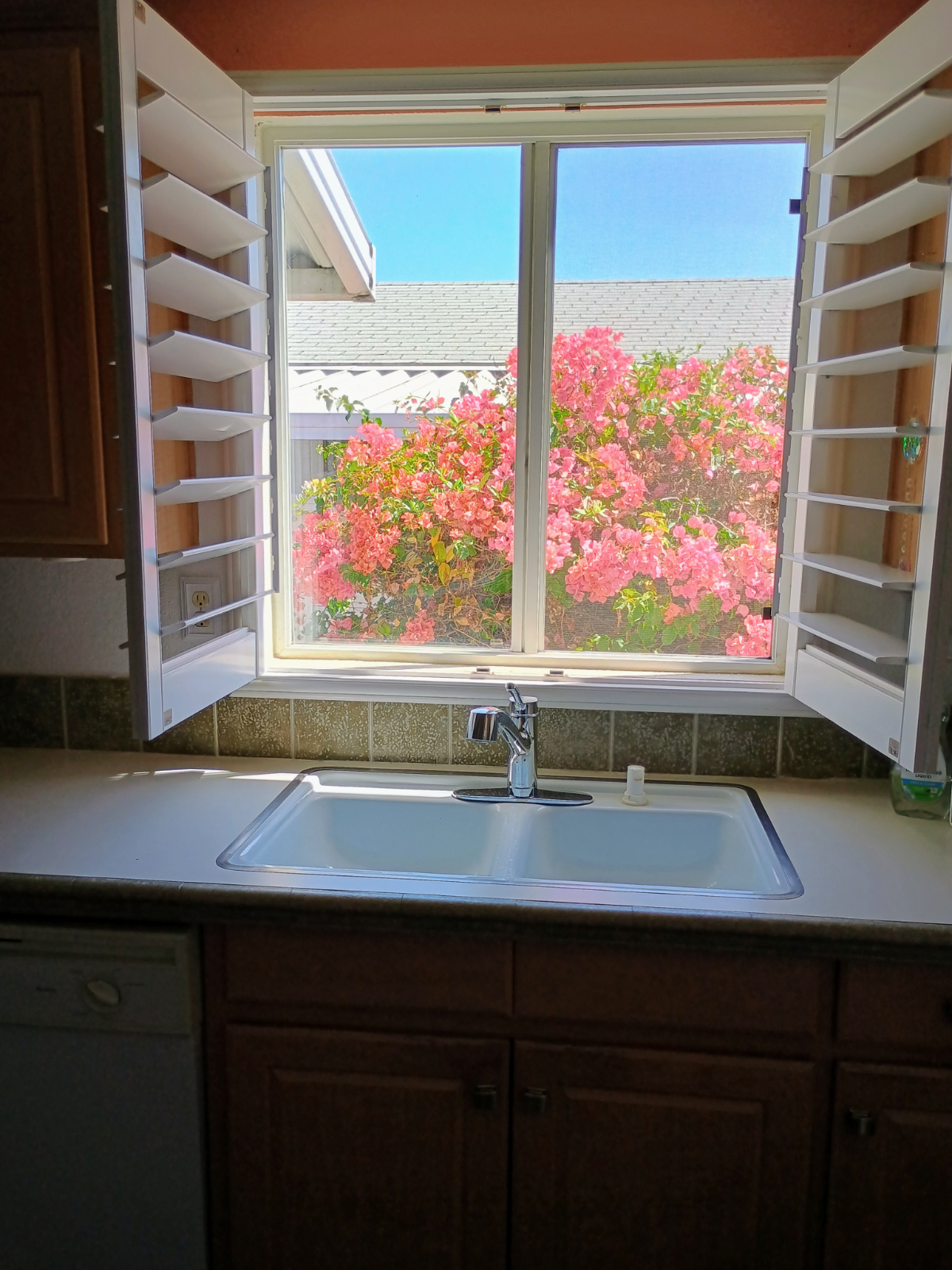 Nice setting close to all things San Diego - Photo 4