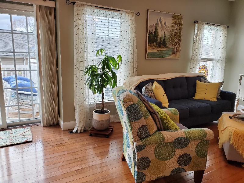 Private Basement Apartment in Morgantown by Cheat - Photo 5