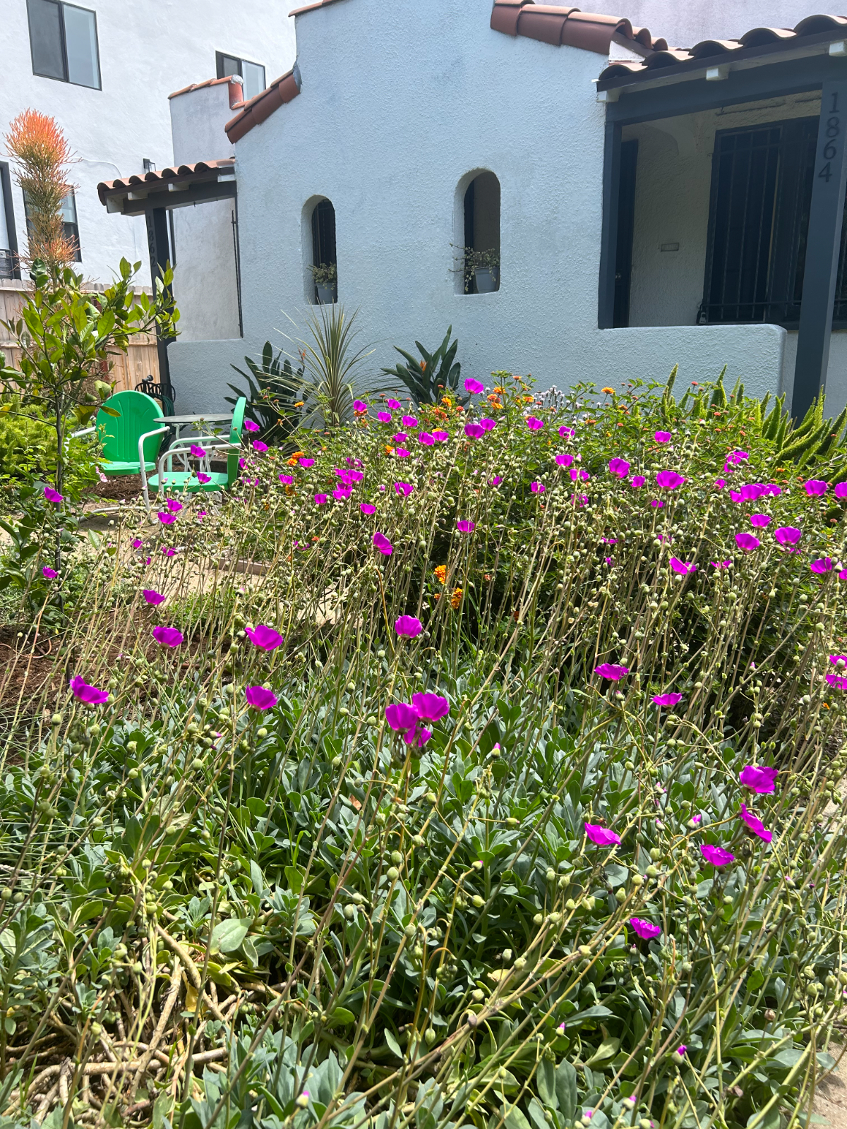 Mid-City Hideaway - Photo 1