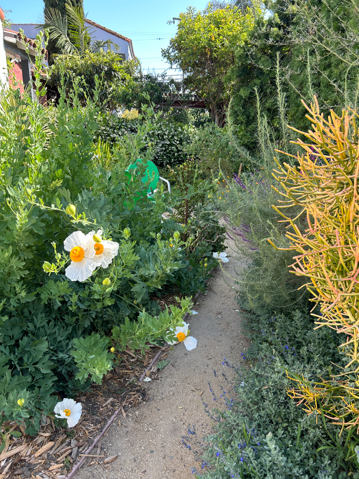 Mid-City Hideaway - Photo 3