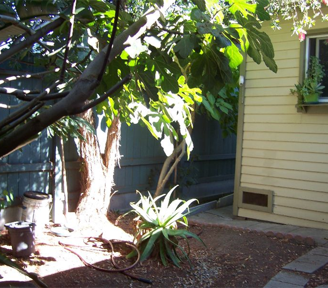 FULLY FURNISHED HOUSE FOR TEMPORARY RENTAL - Photo 2