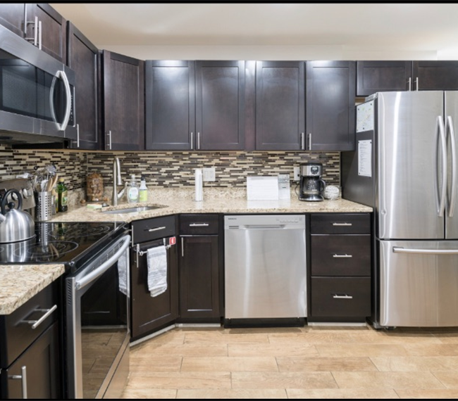 Centrally Located, Large 2 Bedroom Apt - Walking Distance to 4 Main Hospitals in DC - Photo 4