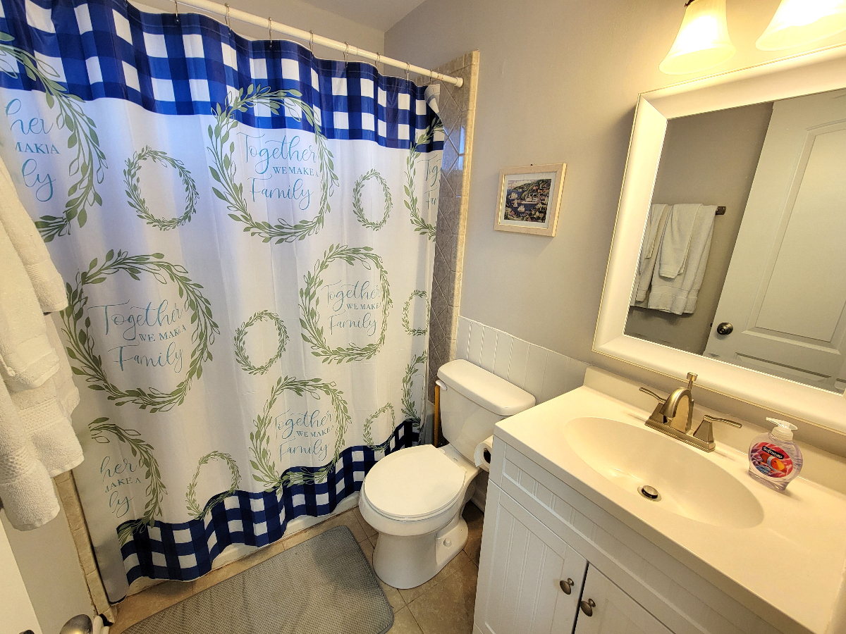 Dog Friendly Close to Downtown & UVA - Photo 10