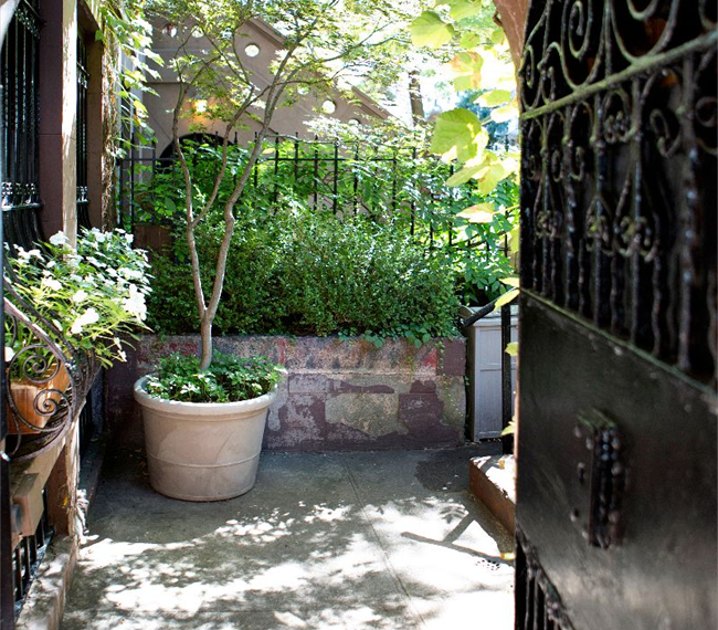 Harlem Hideaway Garden Apartment - Photo 3