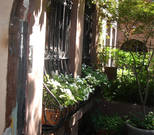 Harlem Hideaway Garden Apartment - Photo 4