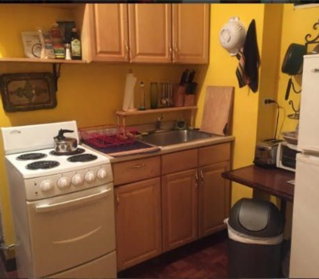 Colorful + Cozy East Village Apt (Check my Calendar before inquiring please!) - Photo 4