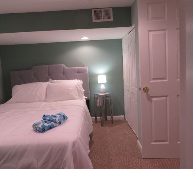 Centrally Located Modern and Cozy Basement Apartment - Photo 8