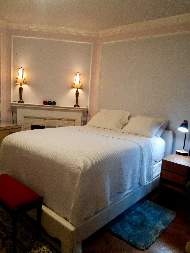 1450 Washington DC Bedroom in Main House - Photo 6