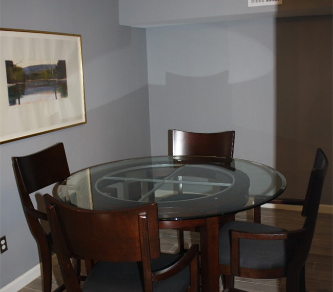 Renovated Fully Furnished English Basement in Mount Pleasant - Photo 3