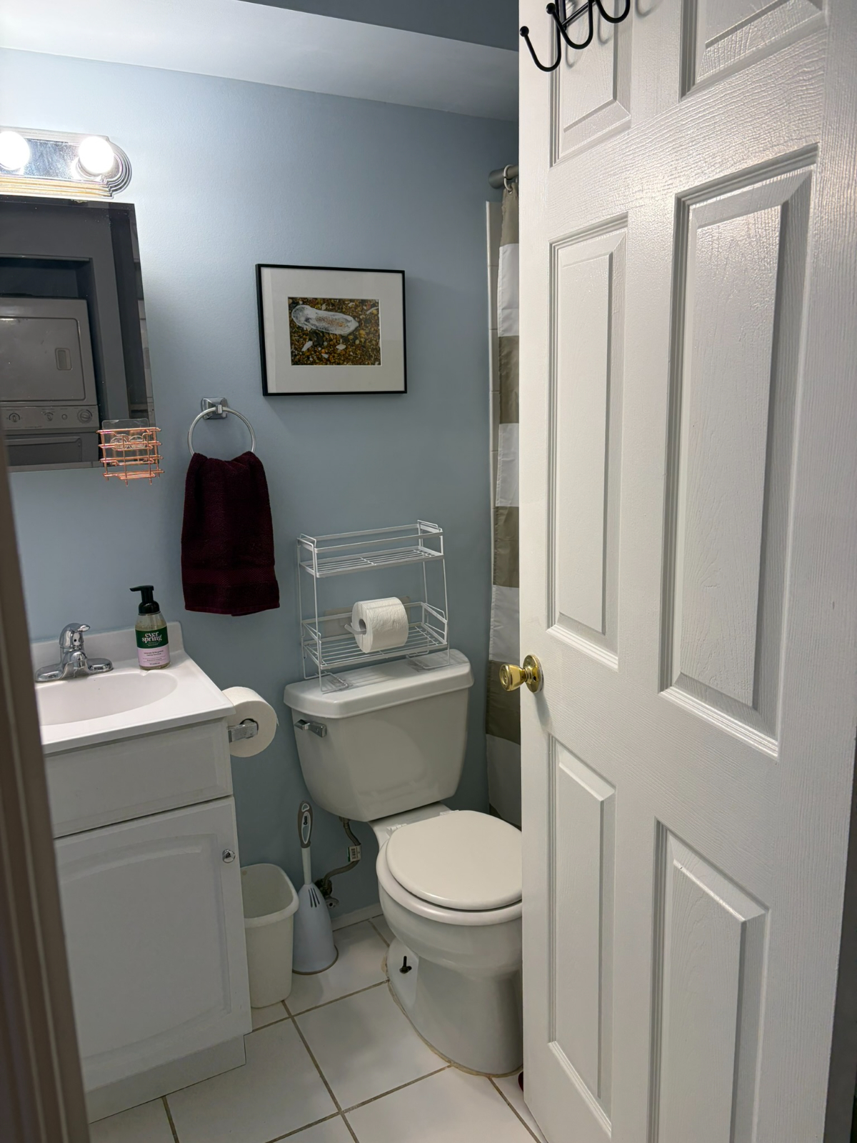 Capitol Hill (DC) One-Bedroom Basement Apartment - Photo 3
