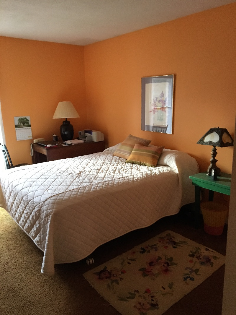 Cozy Room in BTV Condo - small dogs welcome. - Photo 2