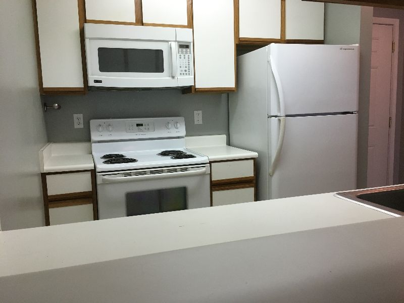 Quiet, private single room (full private bath, walk-in closet) in shared unit in a complex with pool - Photo 3