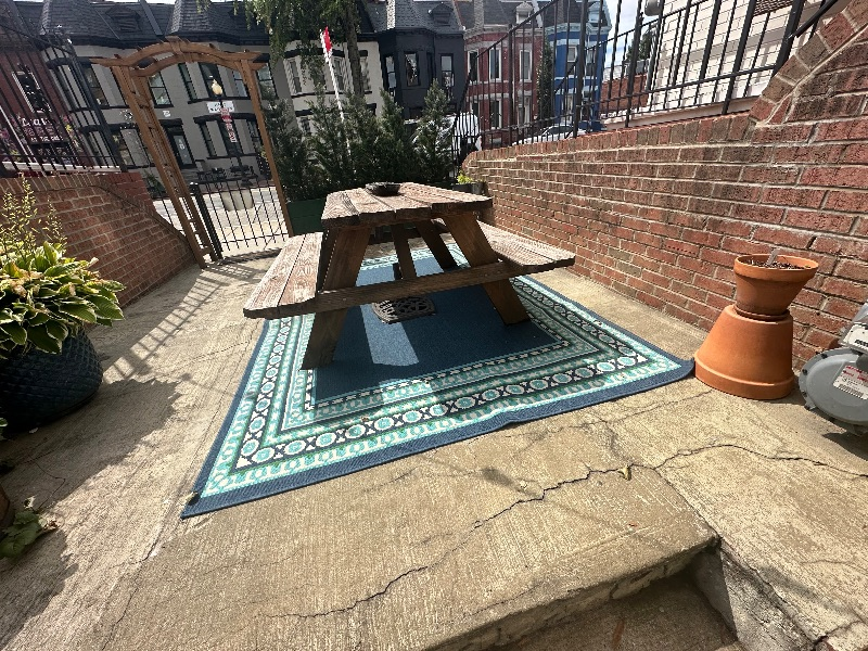 Renovated 2 bed/2 full bath with PRIVATE ENTRANCE, outdoor patio in central DC neighborhood - Photo 9