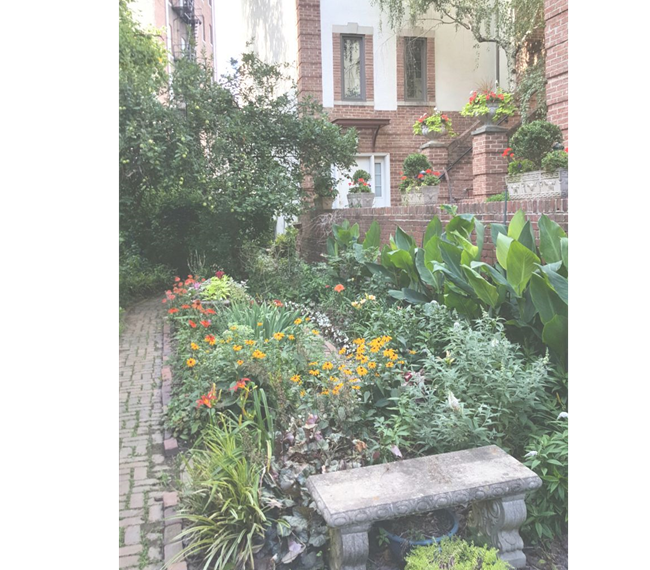 Urban Oasis - Adams Morgan DC - Photo 2
