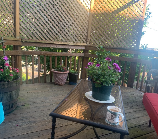 One Bedroom with Home Office 1000 square feet Flat in Adams Morgan. - Photo 2