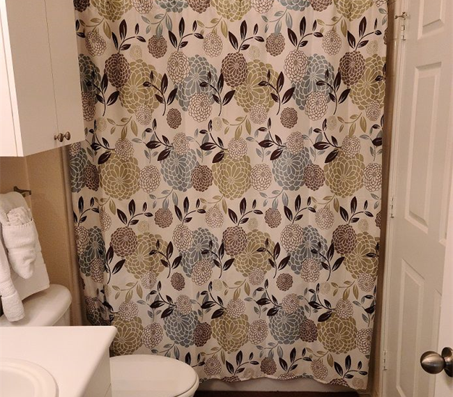 1 Bedroom Suite - Photo 5