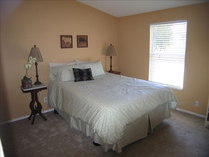 CLOSE TO UCD VETINARY HOSP ON 100 AC HORSE RANCH - Photo 1