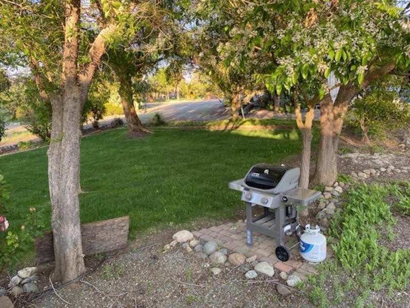 CLOSE TO UCD VETINARY HOSP ON 100 AC HORSE RANCH - Photo 4