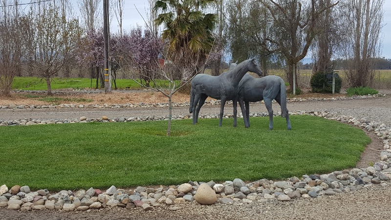CLOSE TO UCD VETINARY HOSP ON 100 AC HORSE RANCH - Photo 6
