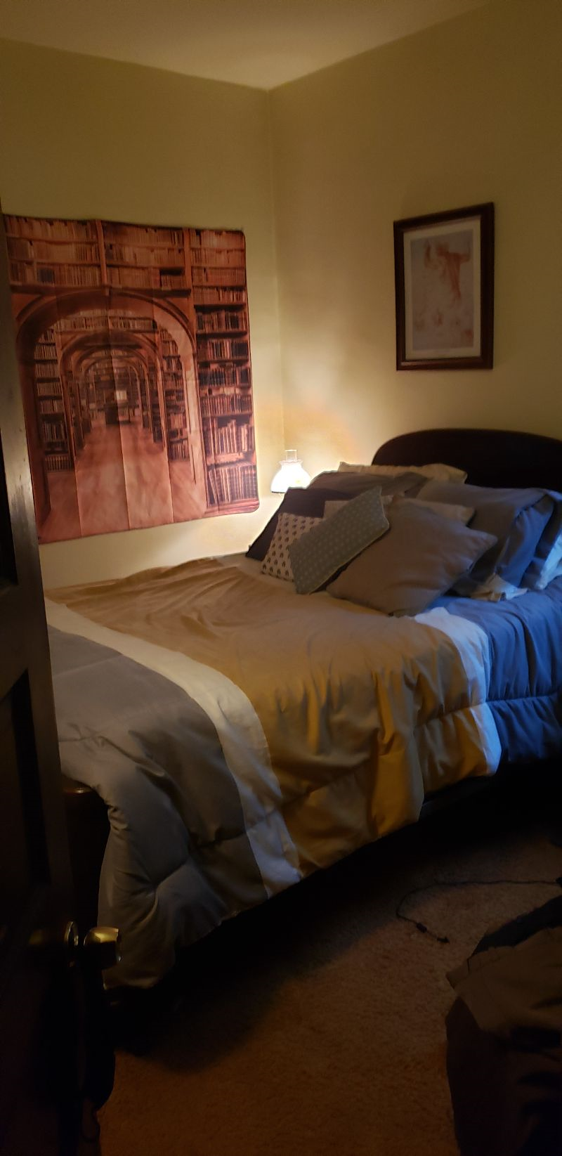 NIfty 2BR Buffalo Flat - Photo 10