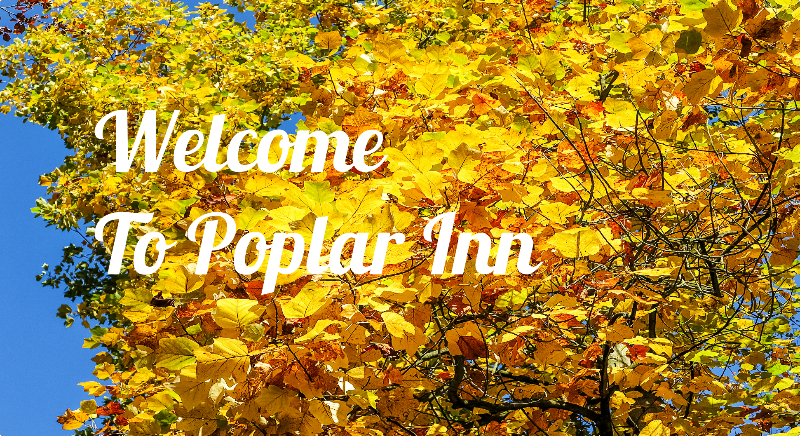 Welcome to Peaceful Poplar Inn - Photo 1