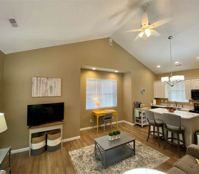 Gorgeous, fully furnished, one-bedroom apartment minutes from Charleston's conveniences and major ho - Photo 1