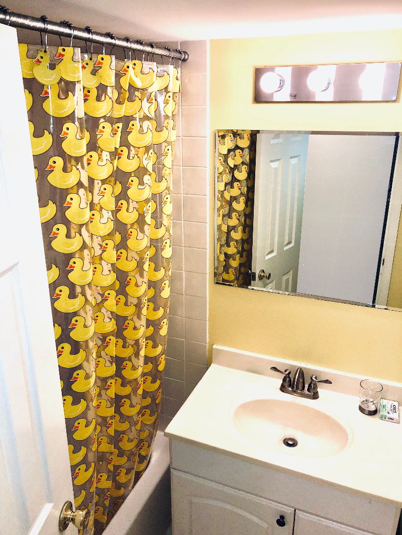 Cozy, Comfortable, and Conveniently Located 1 Bedroom English Basement - Photo 9
