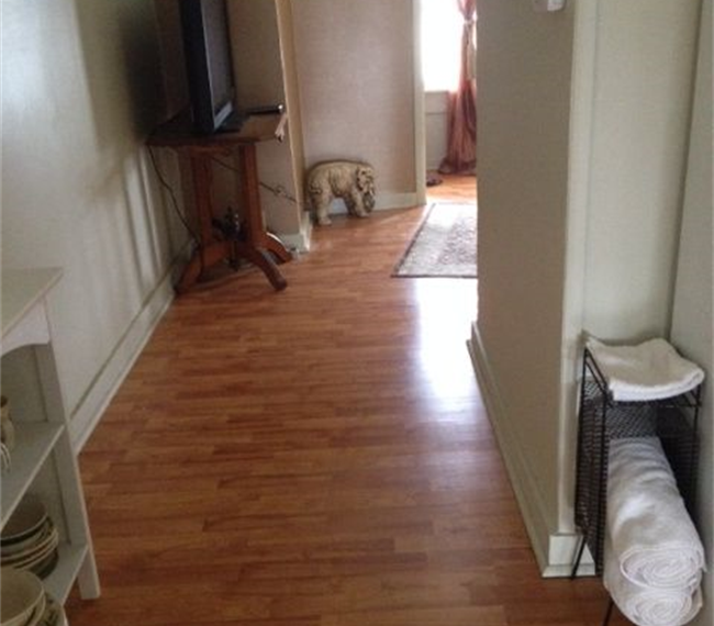 1 Bedroom - Syracuse (Eastwood) - Photo 3