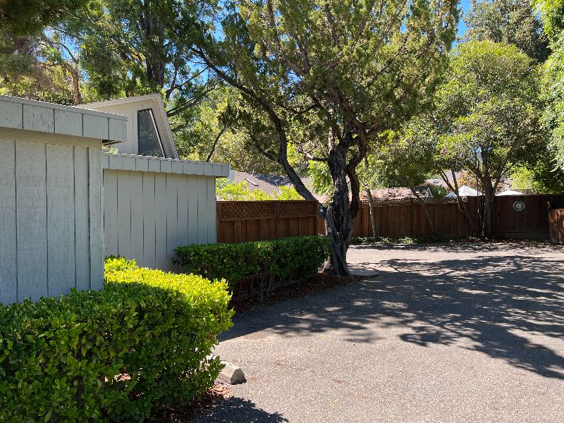 Los Gatos 1bedroom 1Bath / Furnished Apartments - Photo 3
