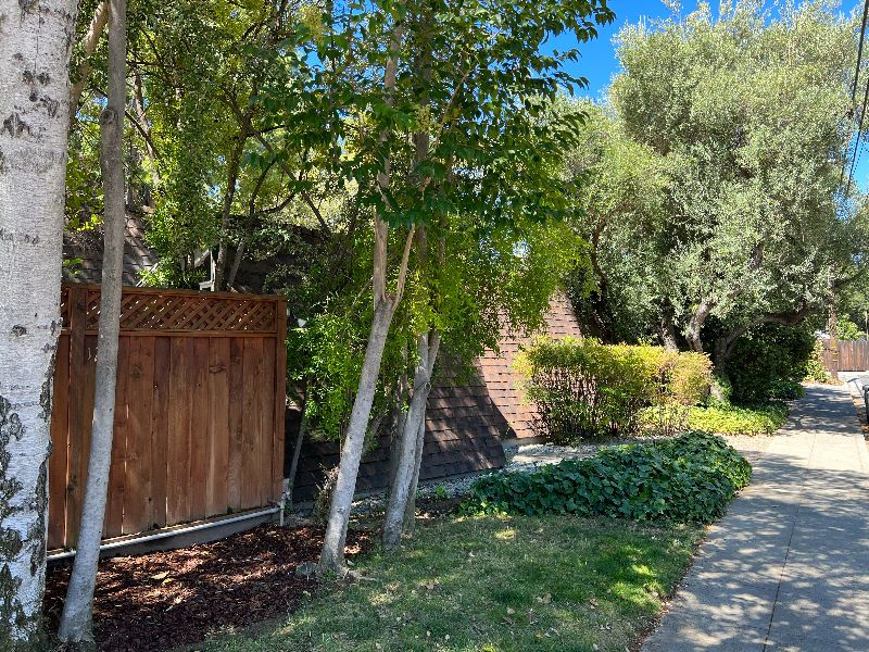Los Gatos 1bedroom 1Bath / Furnished Apartments - Photo 6