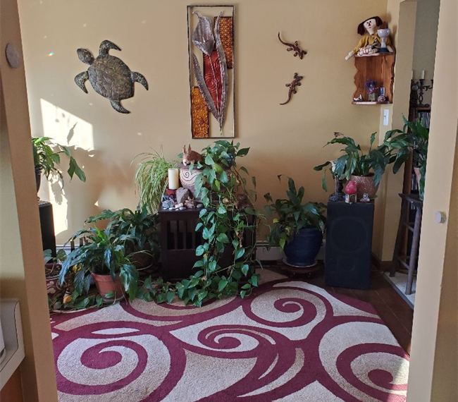 Pretty and Cozy House. Private, large attic bedroom AVAILABLE JUNE 1ST. SEEKING 1 HOUSEMATE to shar - Photo 4