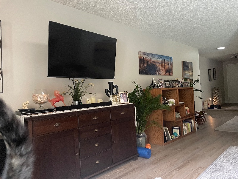 Master Bedroom - Photo 4