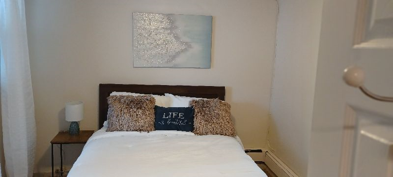 Private Furnished One Bedroom Apartment with own entrance- Close to all major Bronx Hospitals and M - Photo 2