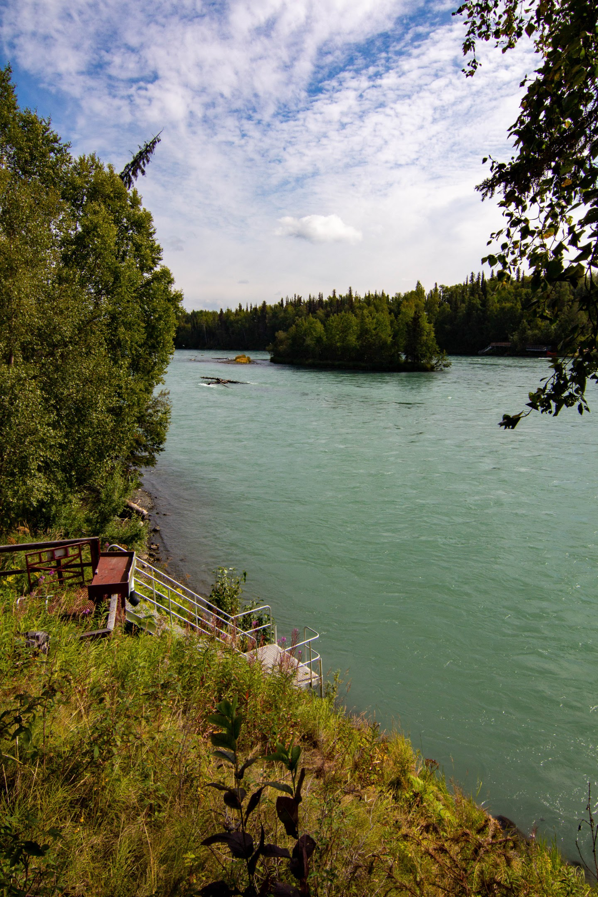 Beautiful Home on the Kenai River - Photo 10