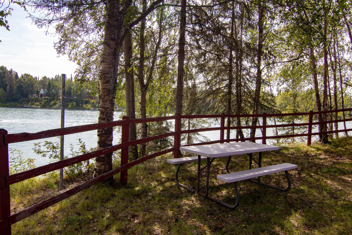 Beautiful Home on the Kenai River - Photo 11