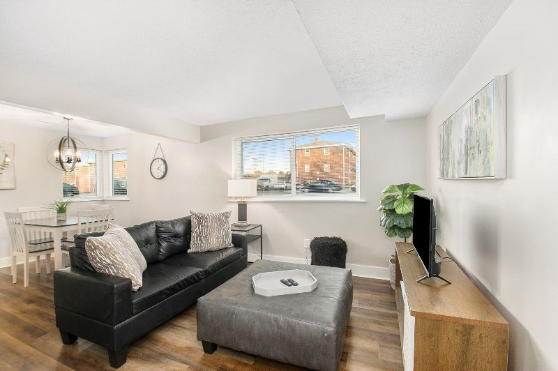 1 Bedroom Dundee Apartment- Green - Lower Level 