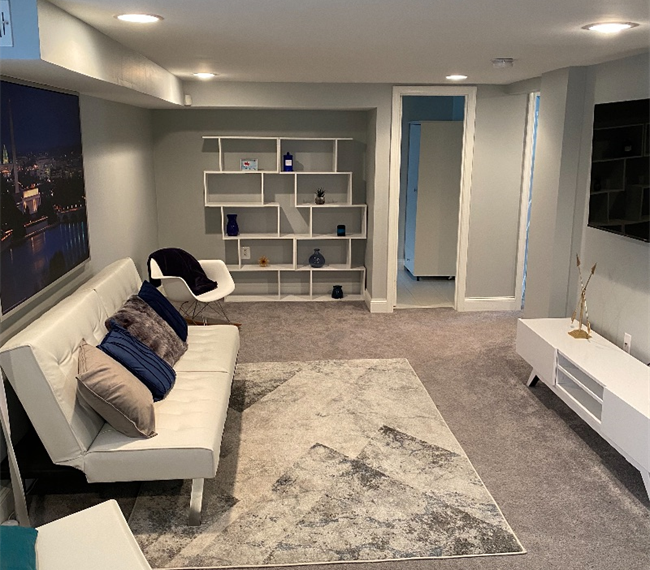 Contemporary DC English Basement Retreat in... - Photo 3