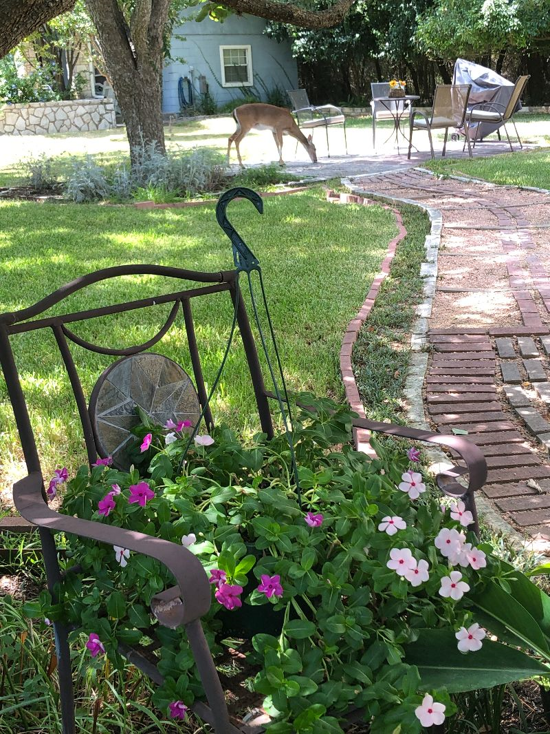 Secure Cottage close to UTHealth Science Center and Medical Hospitals and Facilities - Photo 3