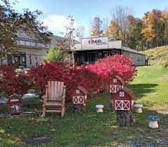 One bedroom apt in the Sullivan Catskills - Photo 7