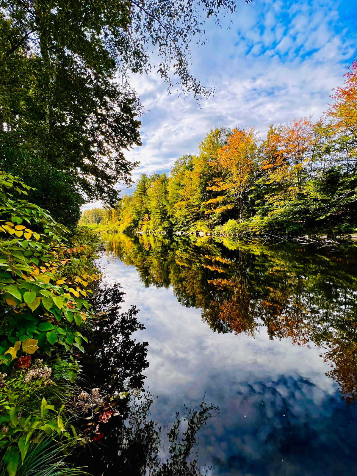 Green Mountain Getaway - Photo 11