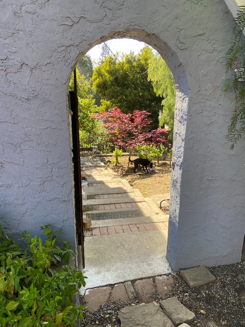 RN renting private walk-out garden apartment - Photo 2