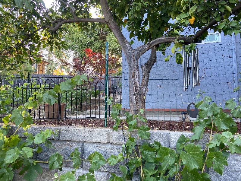 RN renting private walk-out garden apartment - Photo 3