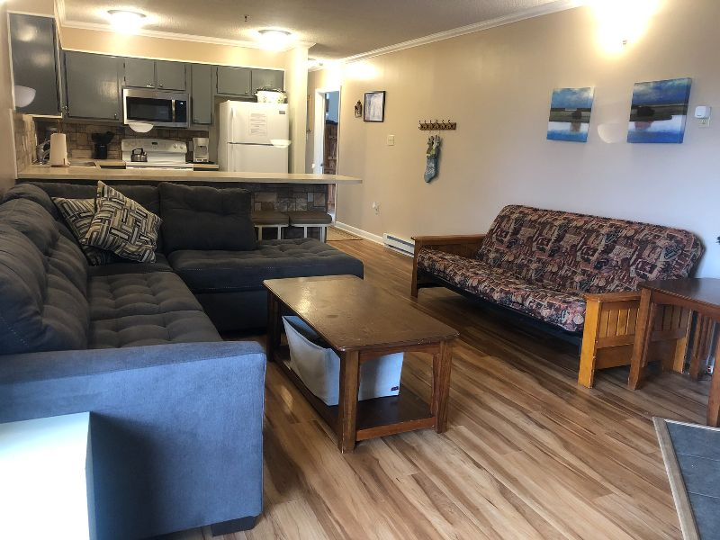 Condos at Winterplace between Beckley and Princeton, quiet with mountain views E306 - Photo 3