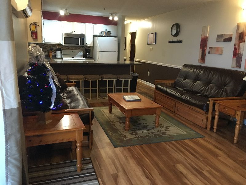 Condos at Winterplace between Beckley and Princeton, quiet with mountain views E306 - Photo 3